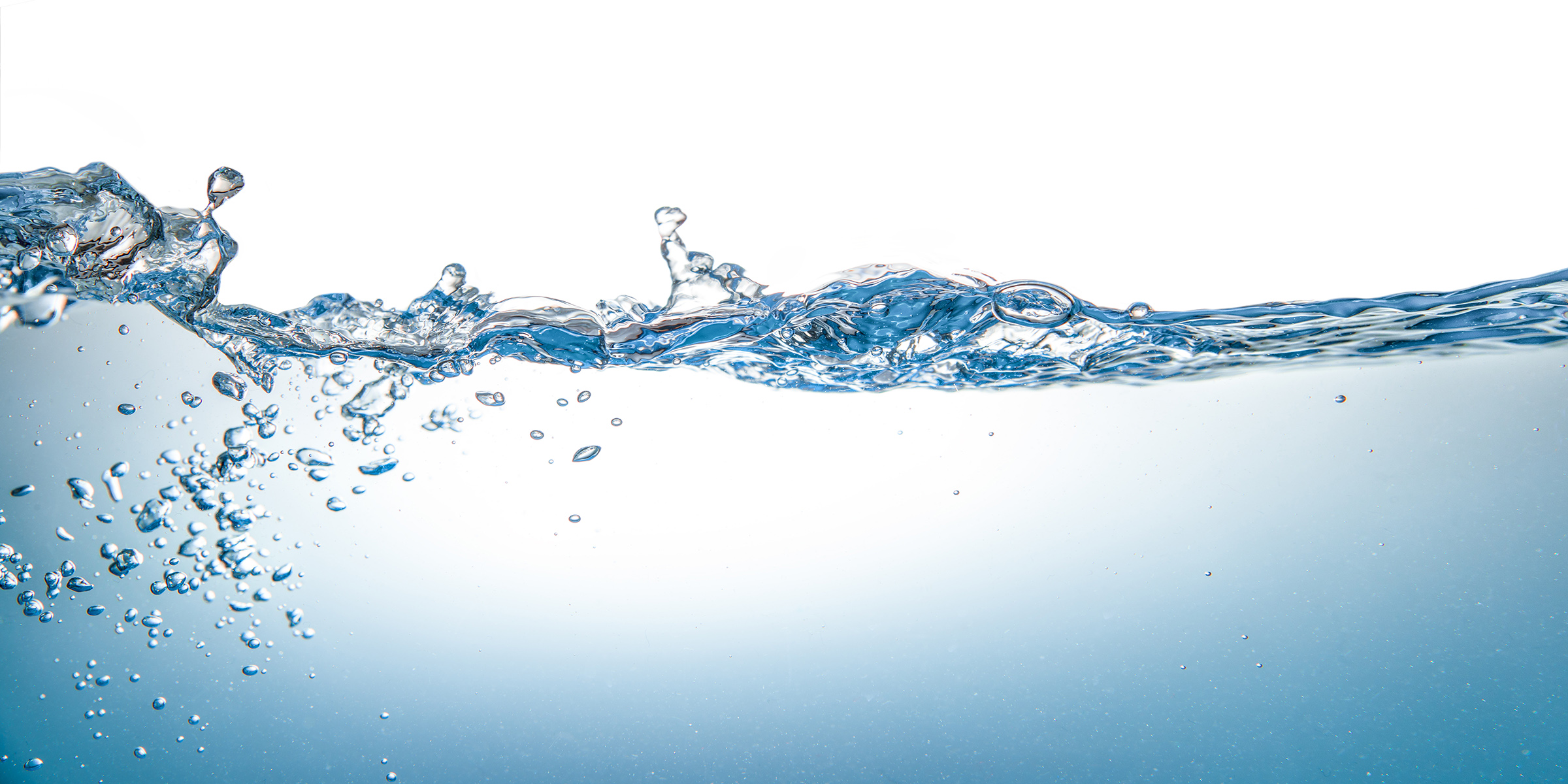 International Water Services Flushability Group